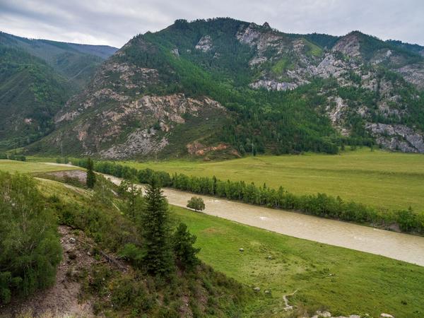 Алтай. Водителям Чуйского тракта.