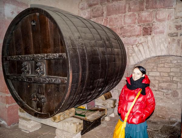 Эльзас. Haut-Koeninsbourg &mdash;Mont Saint-Odile