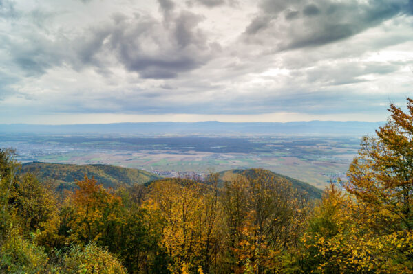 Эльзас. Haut-Koeninsbourg &mdash;Mont Saint-Odile