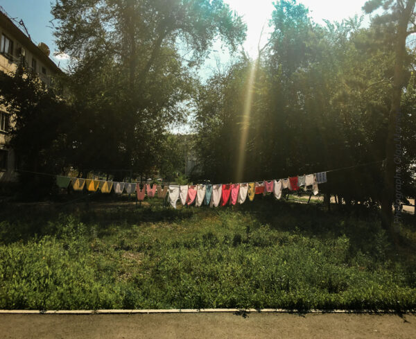 Алматы. А ходят ли по улицам верблюды? Алматы. А ходят ли по улицам верблюды?