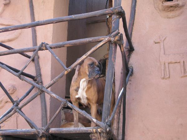 ПО&nbsp;СЛЕДАМ КОНКИСТАДОРОВ И&nbsp;ПРИШЕЛЬЦЕВ