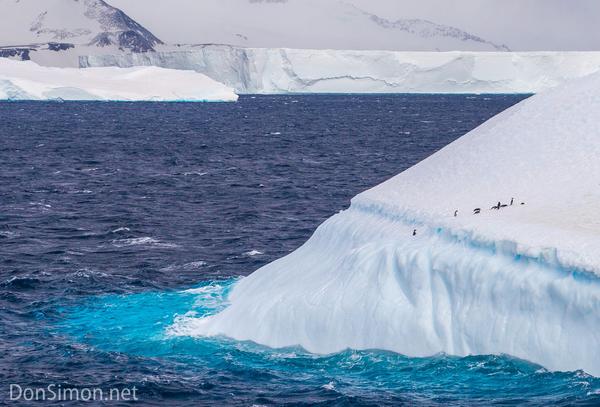 Antarctica