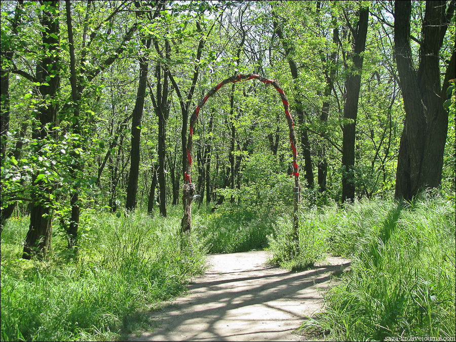 Древние кольца Хортицы