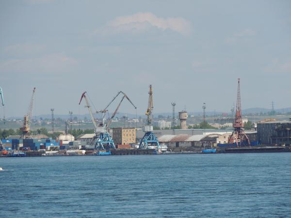 Утки стали ближе к людям (в Красноярске подтопило набережные) Утки стали ближе к людям (в Красноярске подтопило набережные)