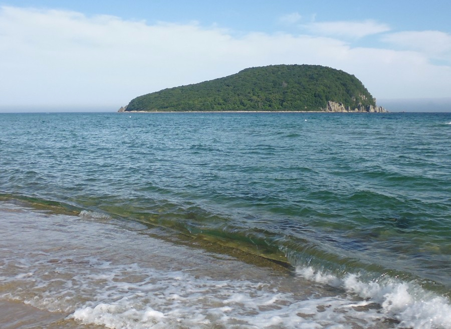 Вода и песок Соколовской бухты Японского моря