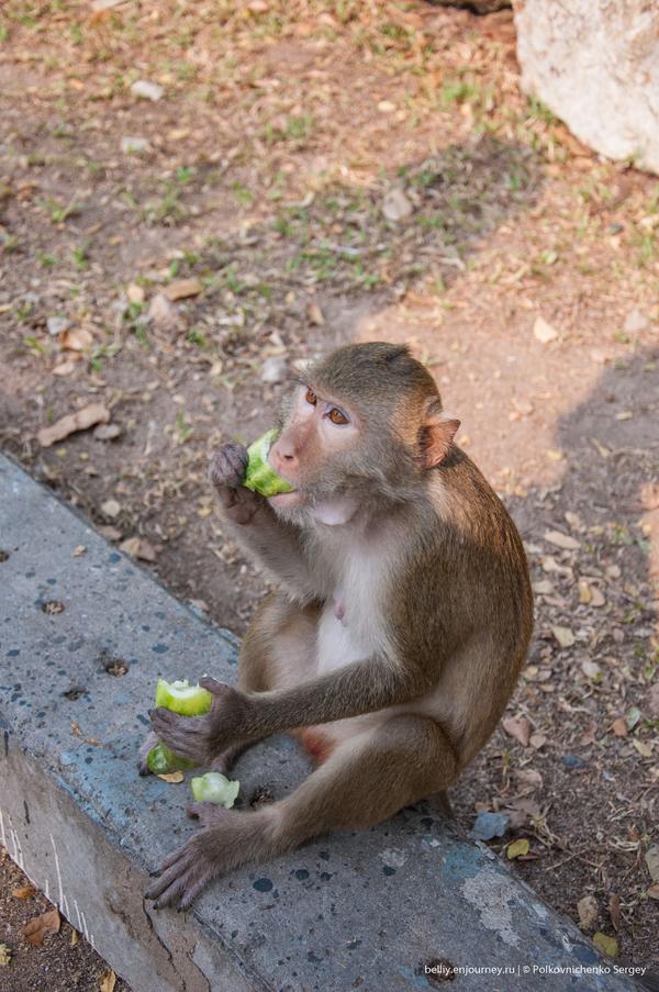 Едем в&nbsp;Тай. Всё, закончил я, прощай!