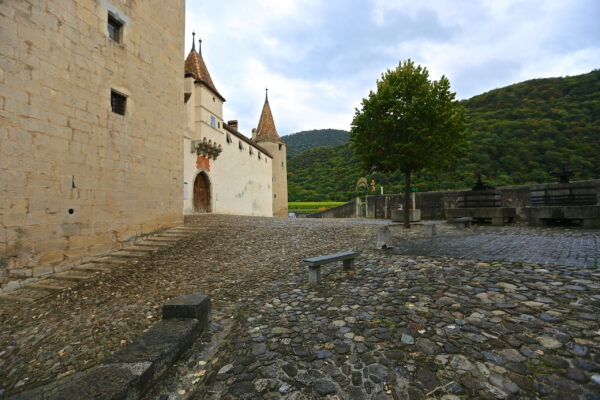 Замок Эгль (Aigle Castle)