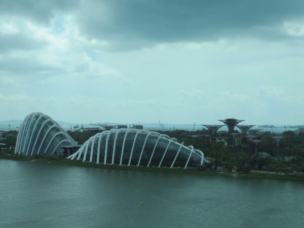 Gardens by&nbsp;the Bay, Сингапур
