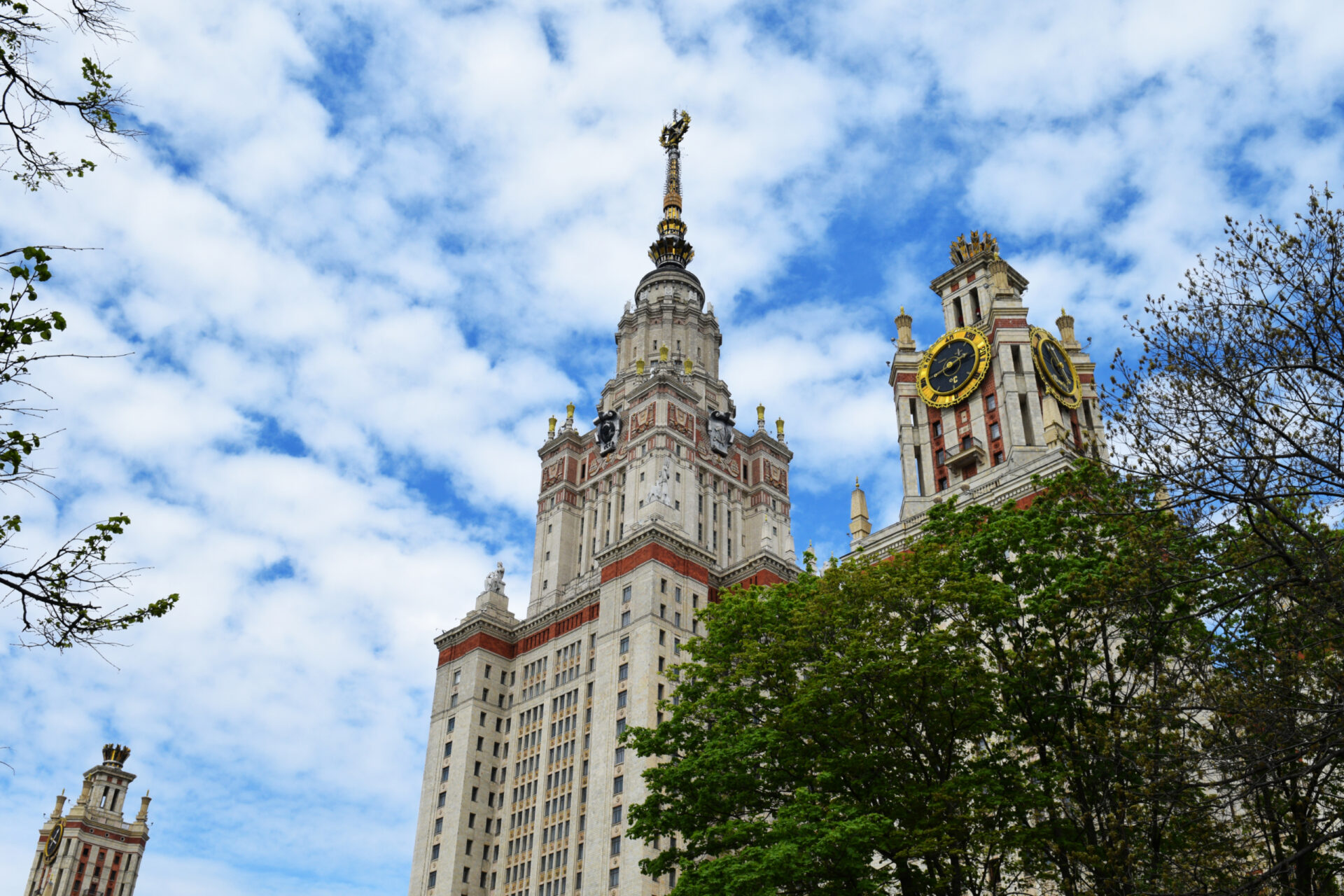 Магазин При Ботаническом Саду Мгу Москва Официальный