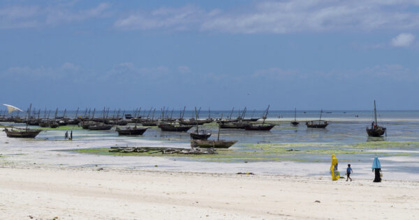 Занзибар&nbsp;&mdash; чудо-остров, жить на&nbsp;нем легко и&nbsp;просто