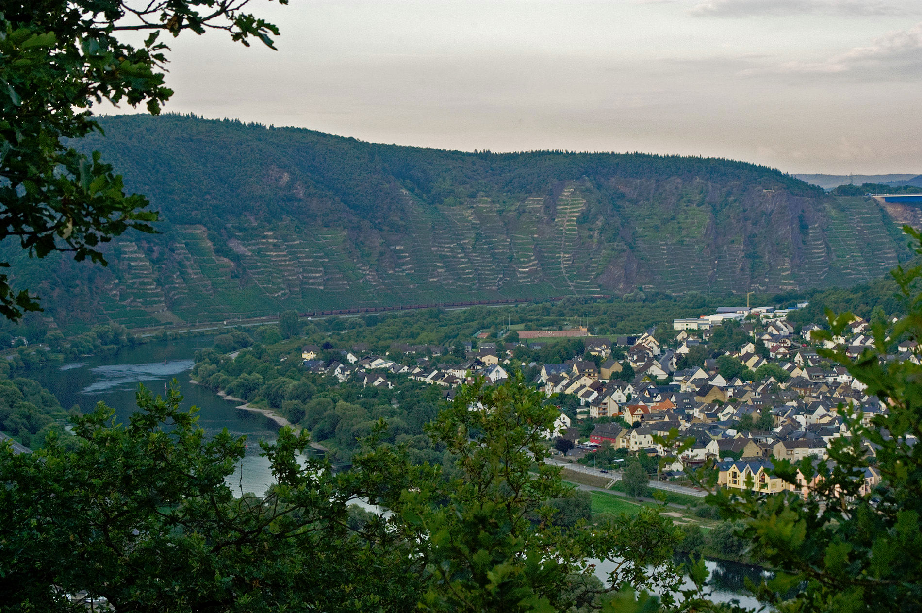 Мозель, Шампань, Аквитания 2010